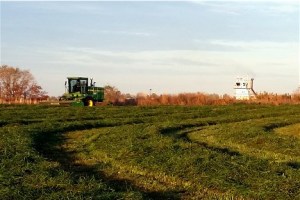 Discbine cutting field with tugboat in background