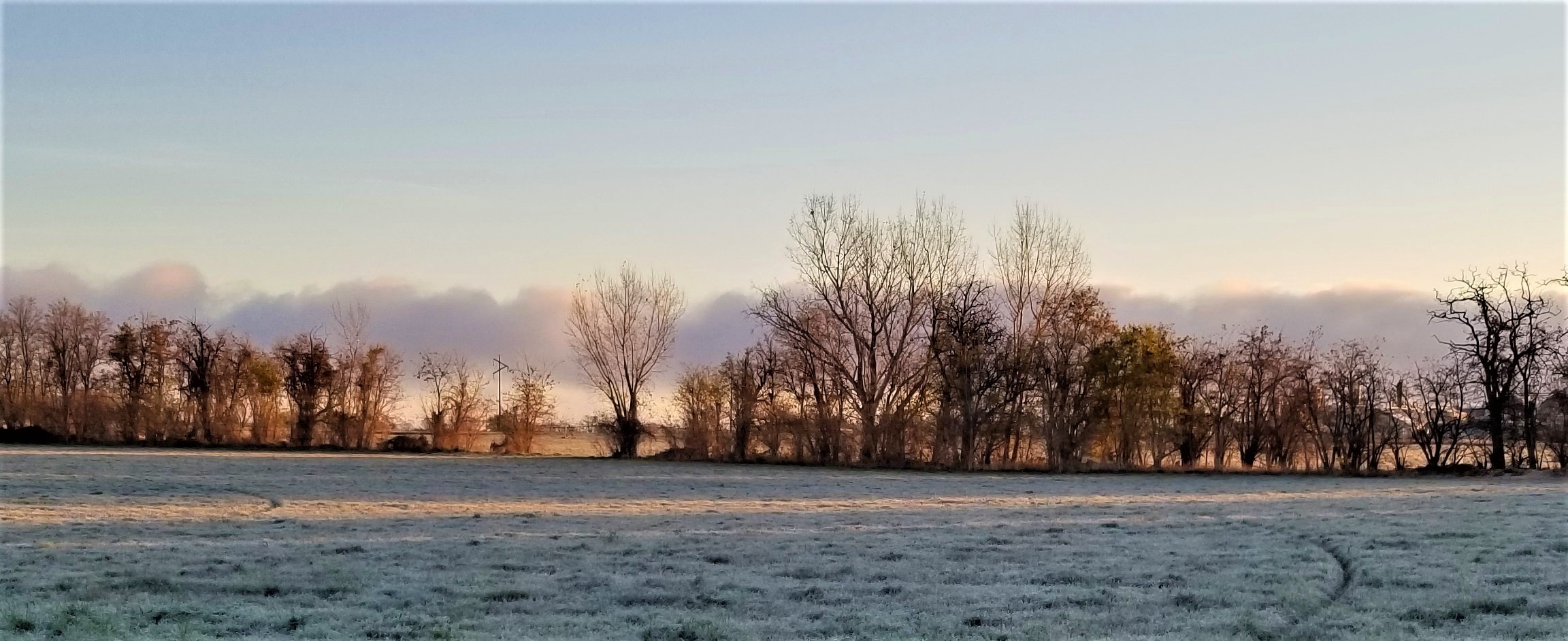 Frost on the fields!