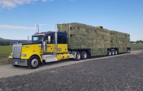 2024 hay season continues